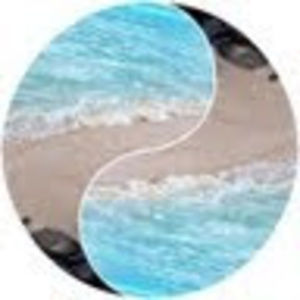 Meet your Posher, Ringo